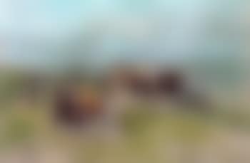 Vaches sur la falaise a Villerville (preview)