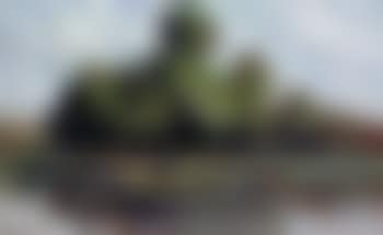 Banquet d'arbres au bord de la Seine, Rolleboise (preview)