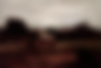 Paturage Normand (preview)