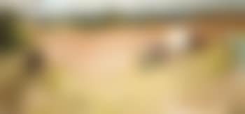Moisson dans la Creuse (preview)