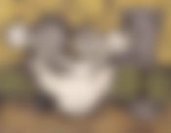 Nature morte (preview)