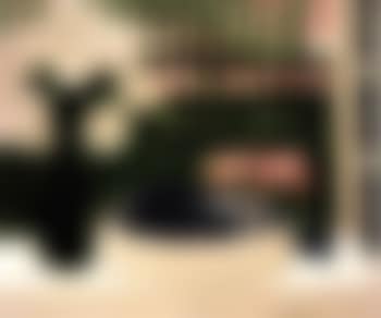 Nature morte aux deux chevaux (preview)