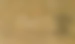 Reclining female nude from the back (preview)
