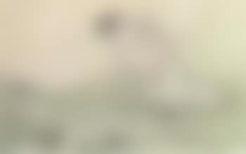 Female nude with two seals (preview)