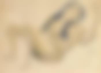 Reclining female nude (preview)