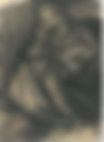 Portrait of the artist's father in an armchair (preview)