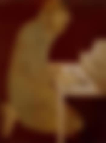 Scribe (preview)