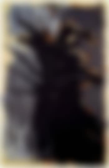 Adler (preview)