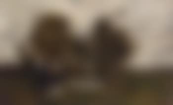 Paysage pres d'un village (preview)