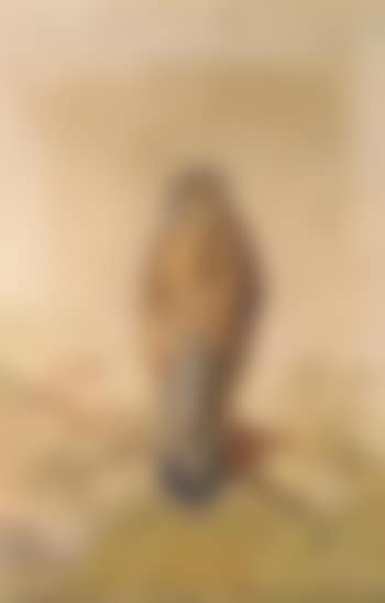 Kestral (preview)