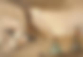 Flags and cutlasses for the bravade, St Tropez (preview)