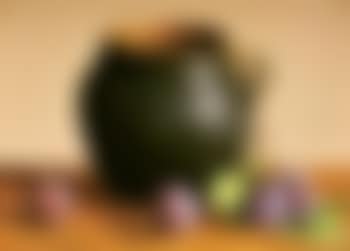 Taos plums (preview)