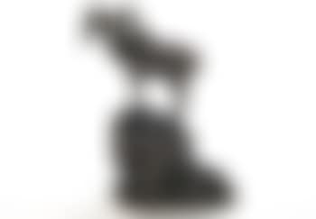 The sentinel (preview)