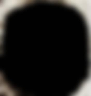 Blind Willie McTell (preview)