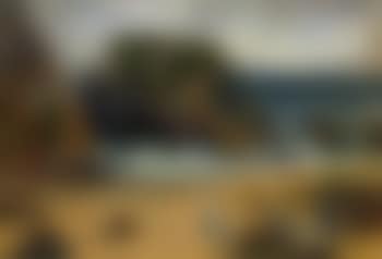 Vaches au bord de la mer (preview)