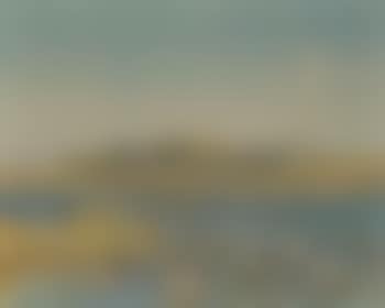Coastal landscape with ducks and seagulls in the water (preview)