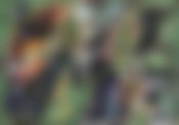 Composition (preview)