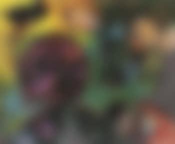 Composition (preview)