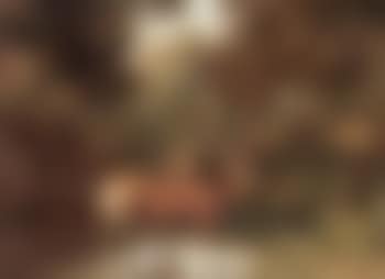 Deer in a woodland pool (preview)
