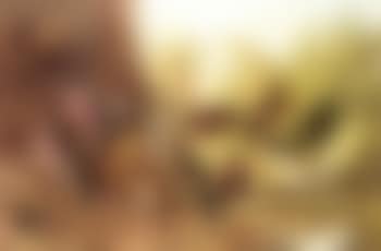 Aviary (preview)
