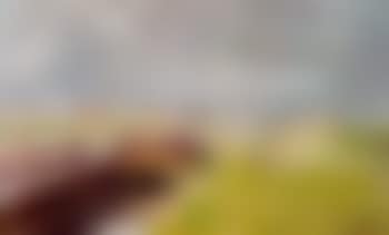Canal scene (preview)