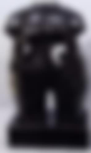 Torso of a woman (preview)