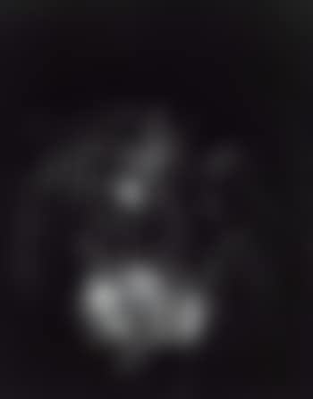 Feu d'artifice (preview)