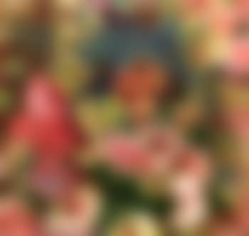 Fleurs (preview)