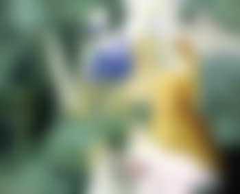 Dans le parc (preview)