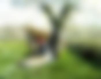 Gardeuse de vaches (preview)