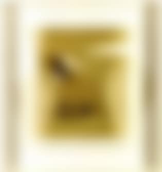 Transparent Rho 60 (preview)