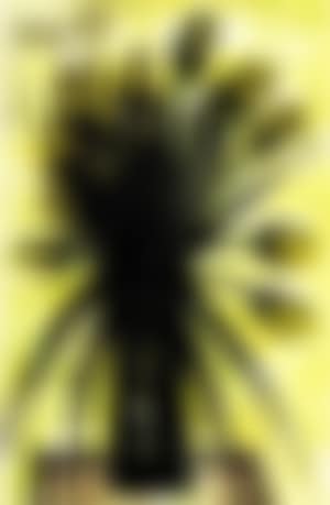 Tulipes (preview)