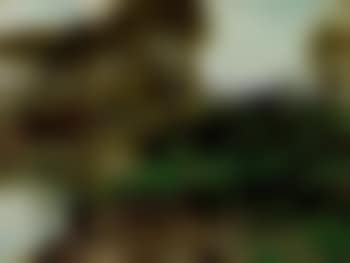 Marne a Mezy (preview)