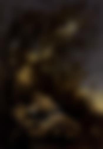 Magdalene repenting (preview)