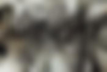 Rayon jaune (preview)
