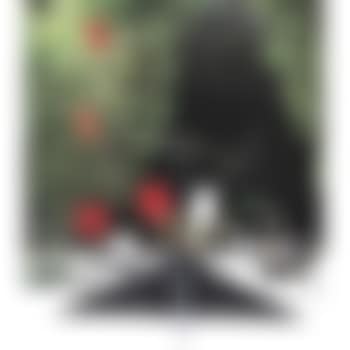Untitled II (preview)