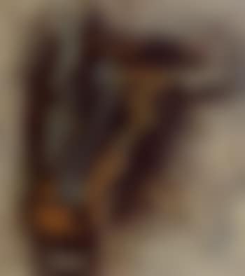 Horse head (preview)
