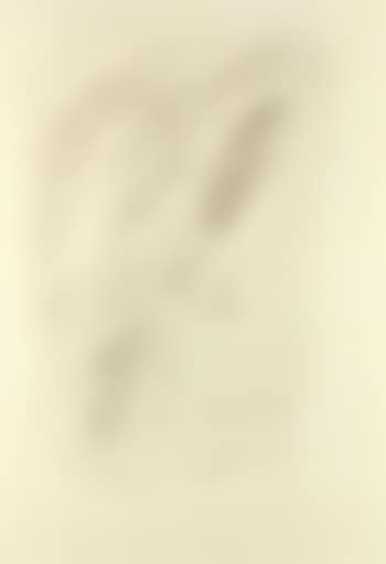 Concetto spaziale (preview)