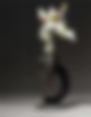 Nana with tinguely (preview)