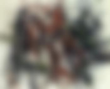 Ermitage (preview)