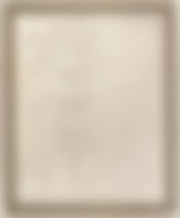 White abstract, Trooping the Colour (preview)