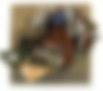 Untitled (preview)