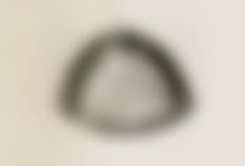 The dome (preview)