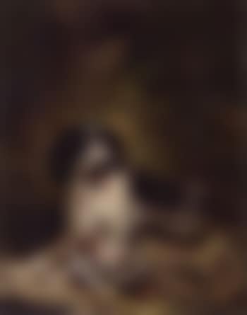 Hunting dog with partridge. Hunting dog (preview)