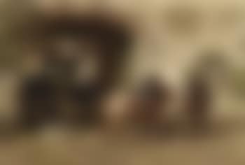 Horses by a gateway (preview)