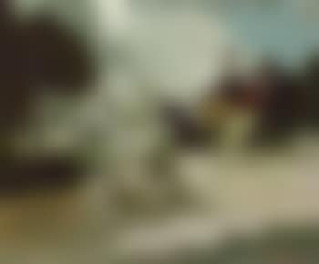 Horse and carriage at Hyde Park Corner (preview)