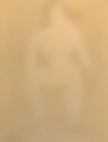 Modele nu (preview)