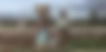 Pickin cotton in the field (preview)