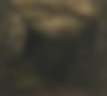 Mountain side (preview)