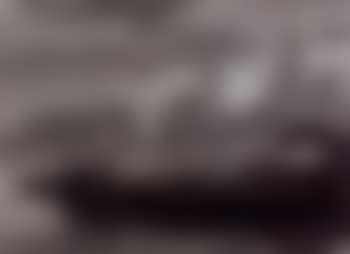 New York (preview)